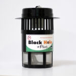 Black Hole Plus