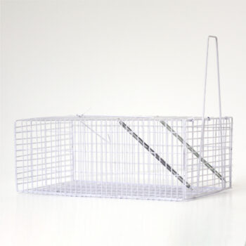 Large Rat Cage