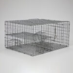 Multi Catch Sparrow Trap