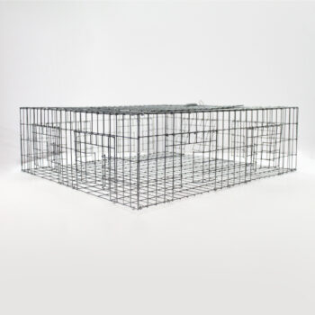 Pigeon Trap - 8 door