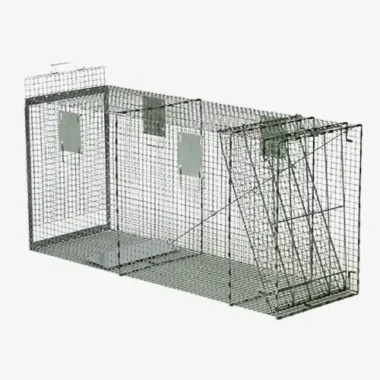 Dog Cage Traps